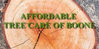 Tree Removal Service Company Boone NC Blowing Rock Banner Elk Linville