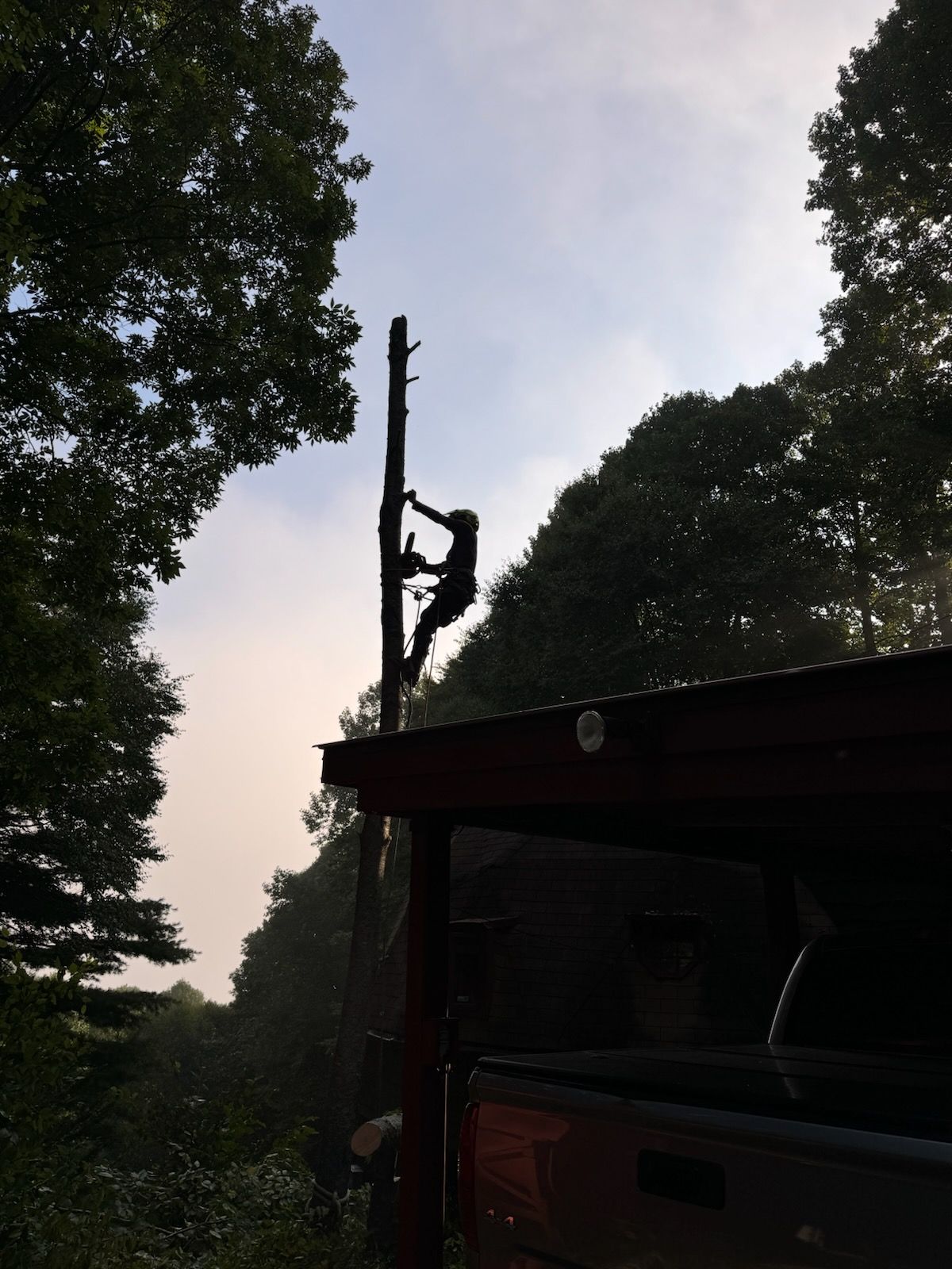 Tree Removal Boone Blowing Rock Banner Elk Linville NC  