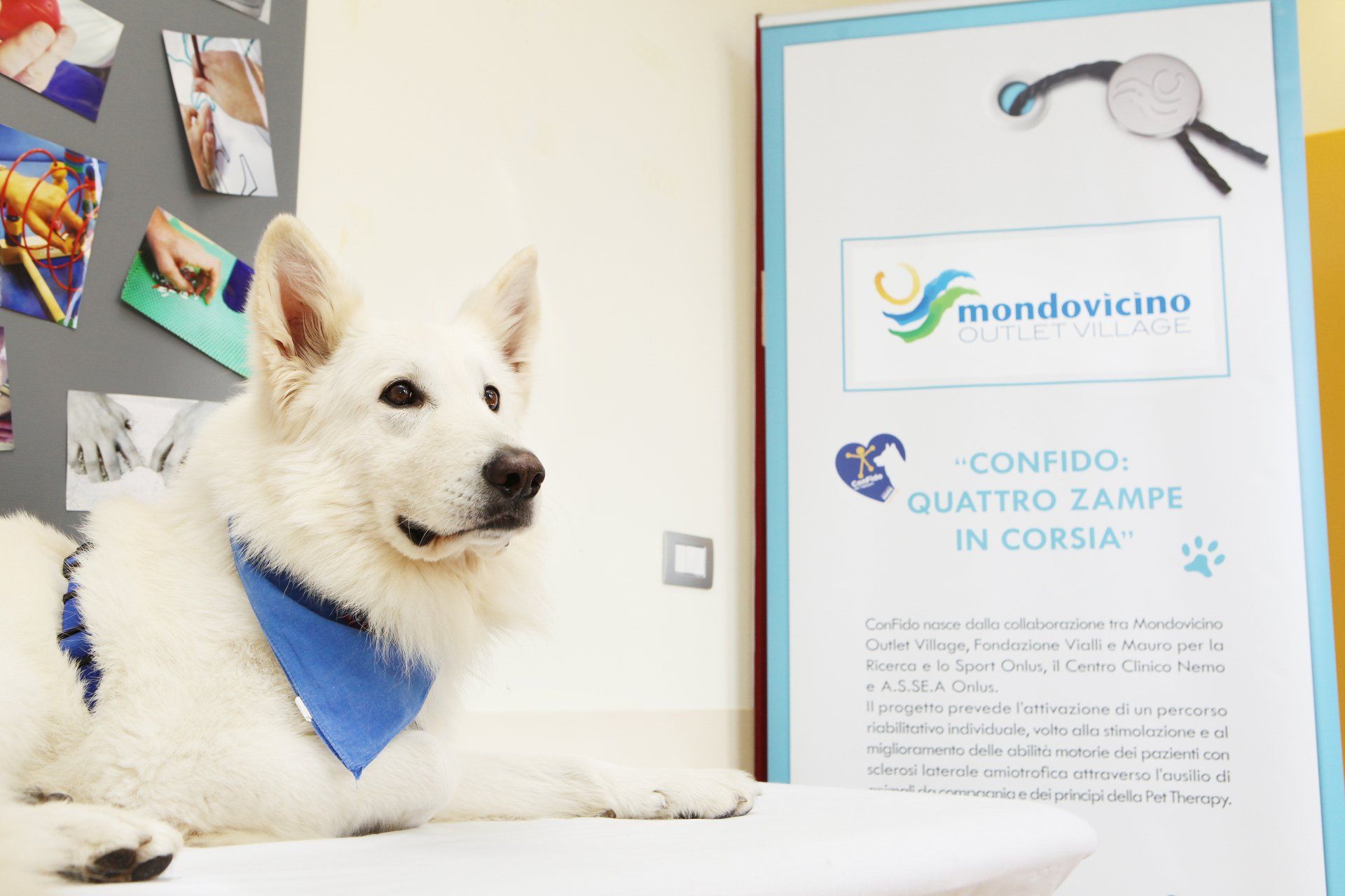Cane bianco con una bandana blu accanto a un cartello con il logo 