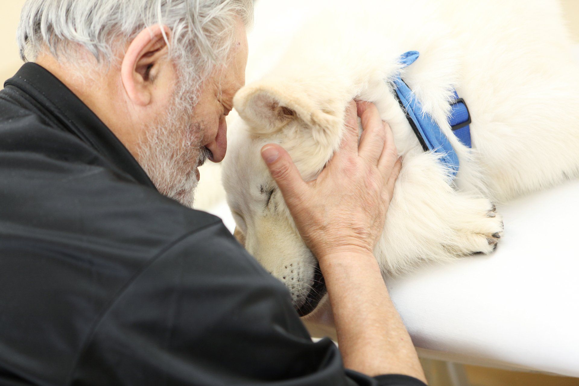 Un uomo con barba e capelli grigi tocca delicatamente la testa di un cane bianco, entrambi con aria affettuosa.