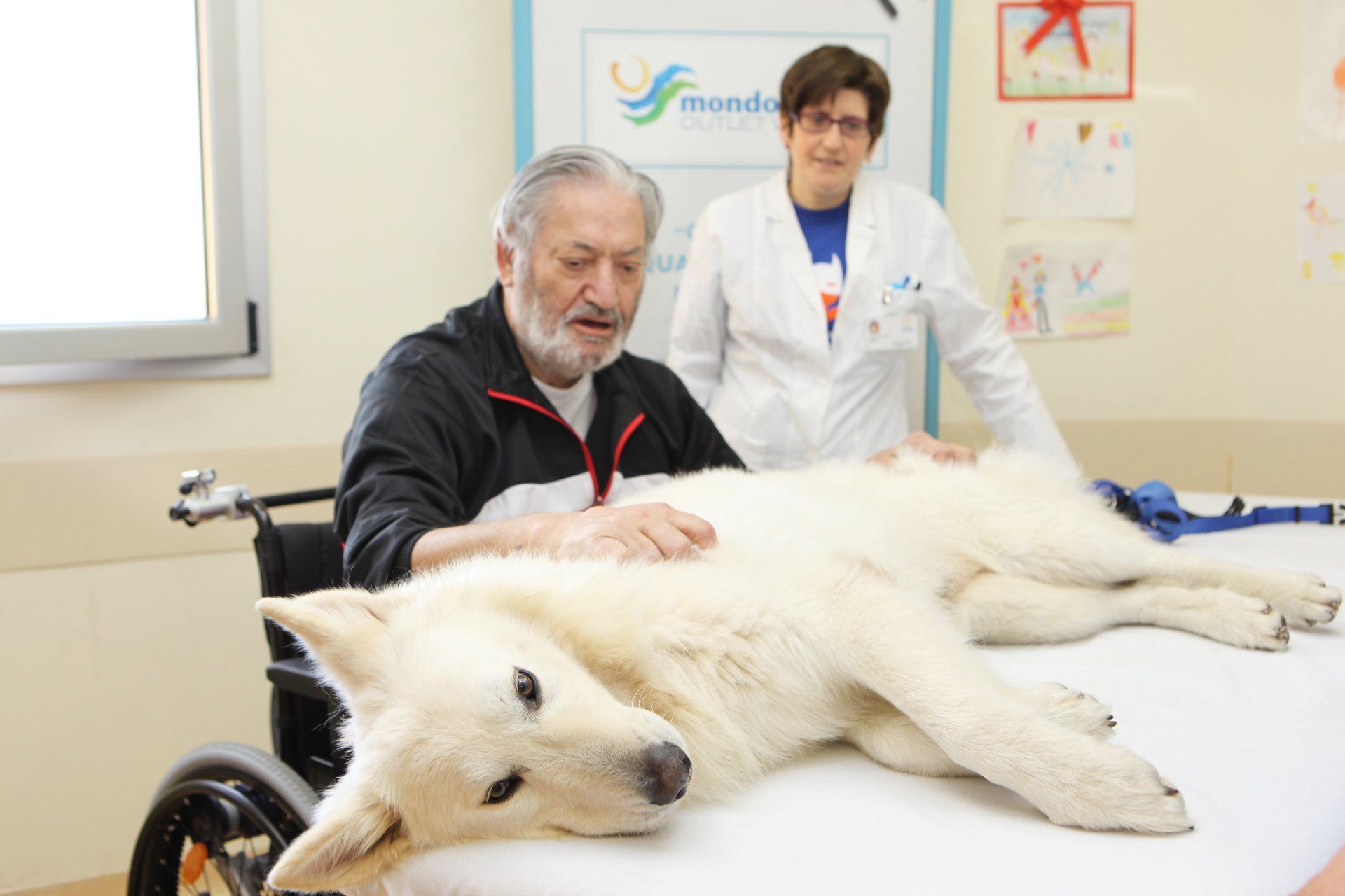 Un uomo su sedia a rotelle accarezza un cane bianco su un lettino medico, mentre una persona in camice osserva in una stanza.