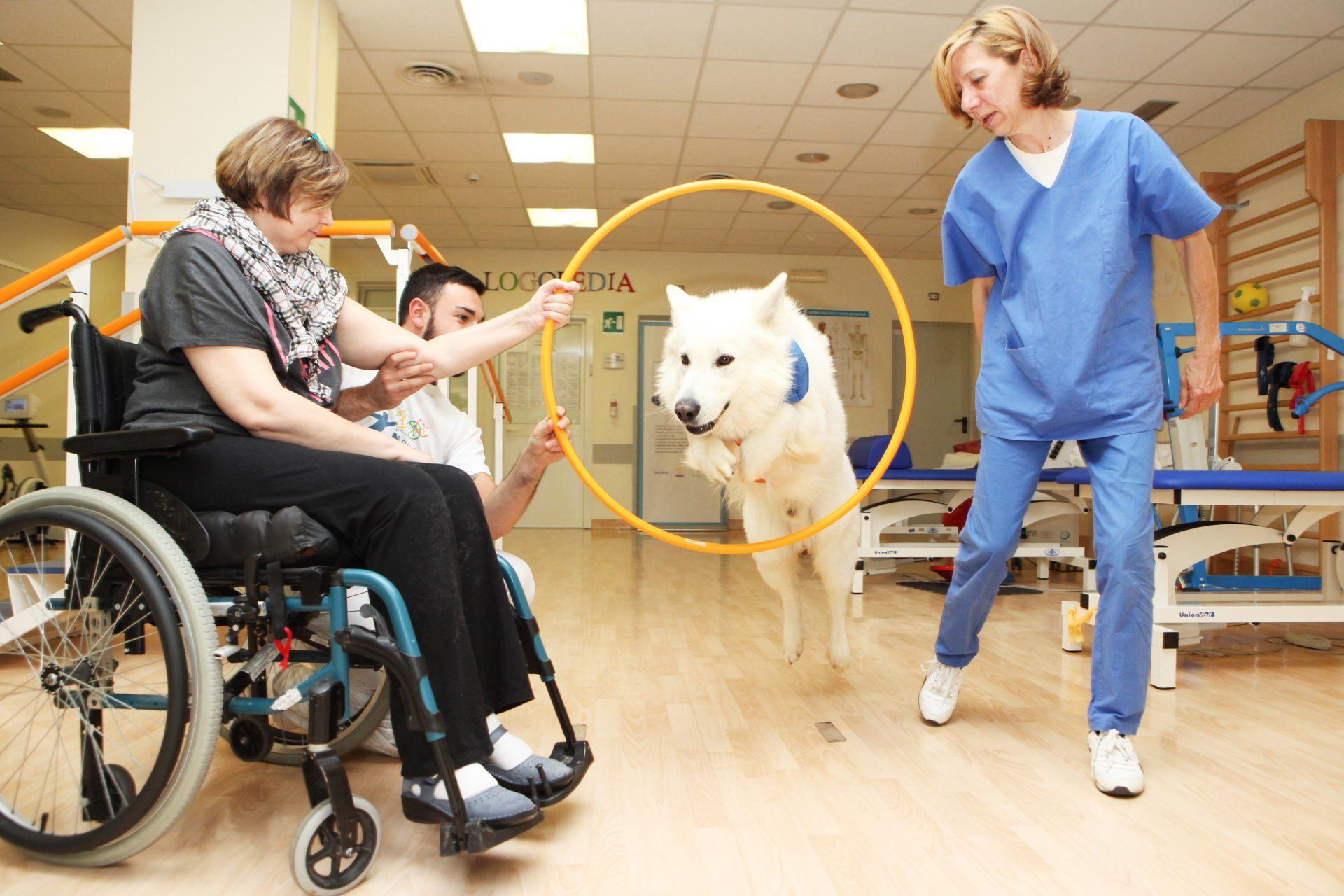 Una donna in sedia a rotelle e un cane da terapia saltano attraverso un cerchio, aiutati dal personale di una clinica.