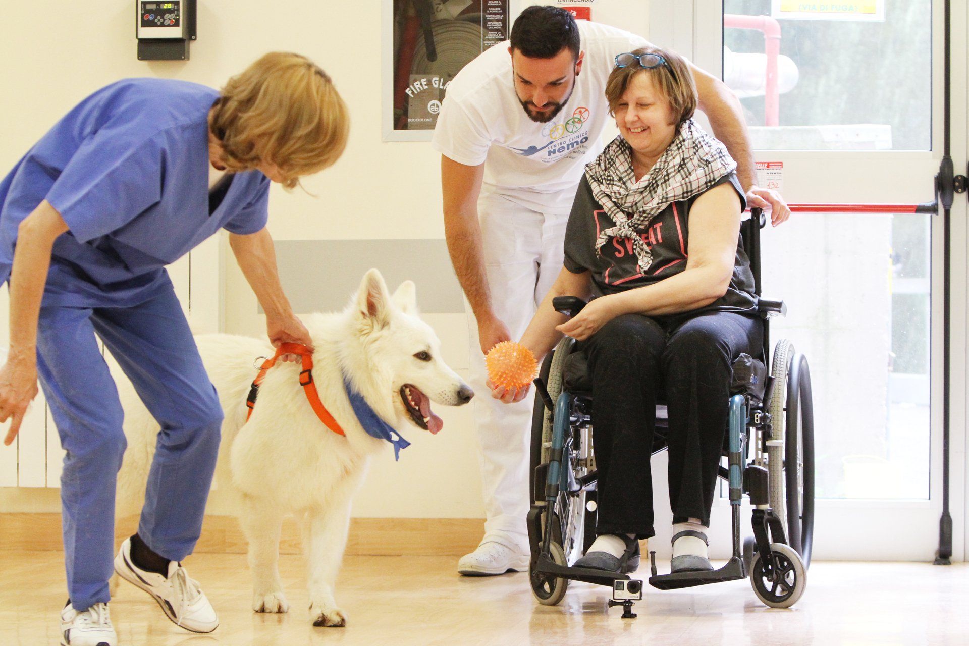 Donna in sedia a rotelle, cane e due operatori sanitari in una stanza per la terapia. La donna sorride, tiene in mano una palla, il cane viene accarezzato.