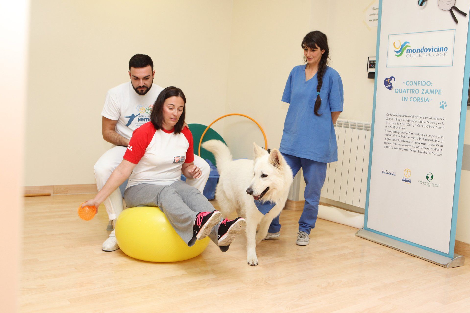 Donna su palla da ginnastica con cane e terapisti; seduta di terapia in una clinica.