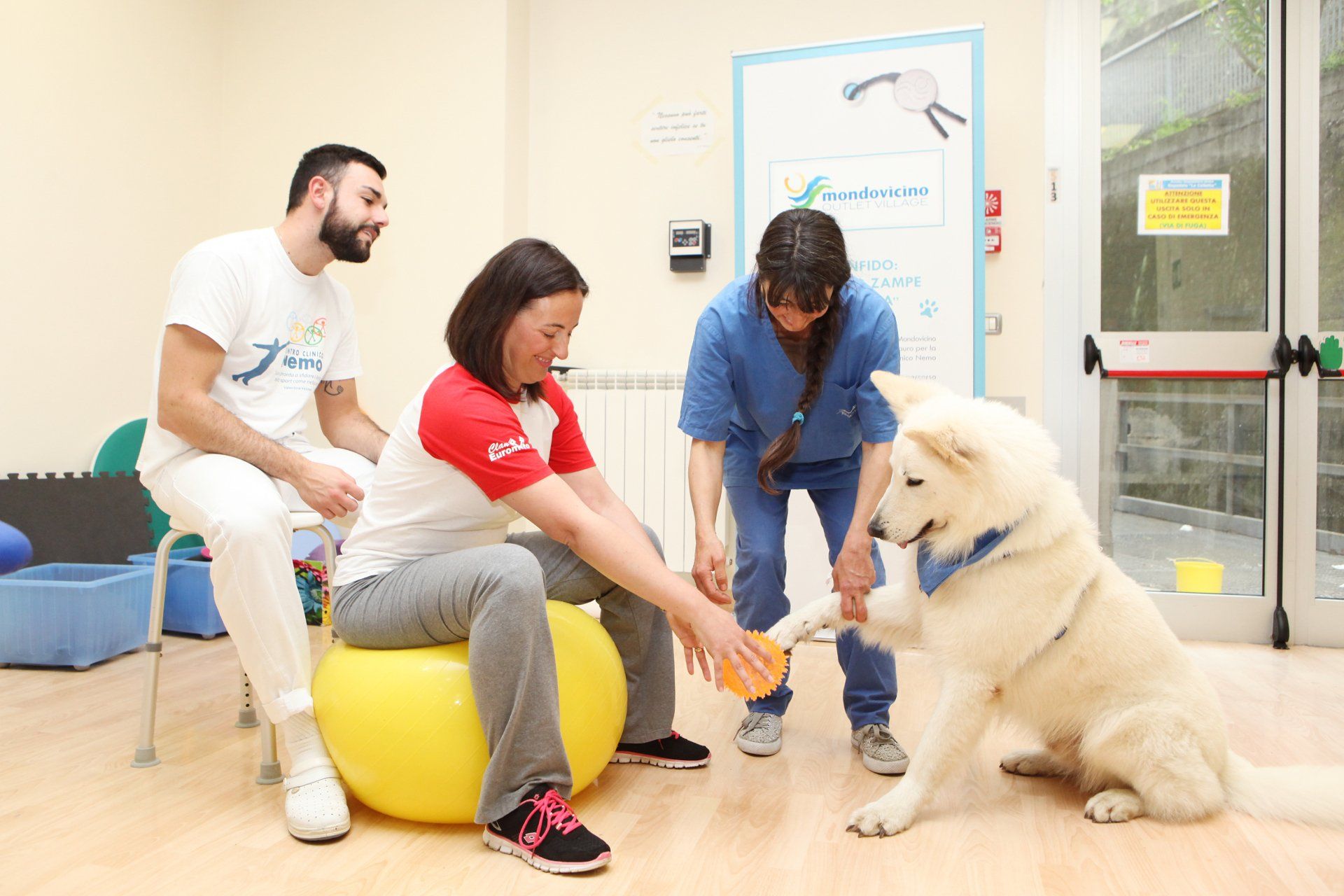 Tre persone e un cane bianco in una stanza per la terapia; una persona è seduta su una palla e la porge al cane.