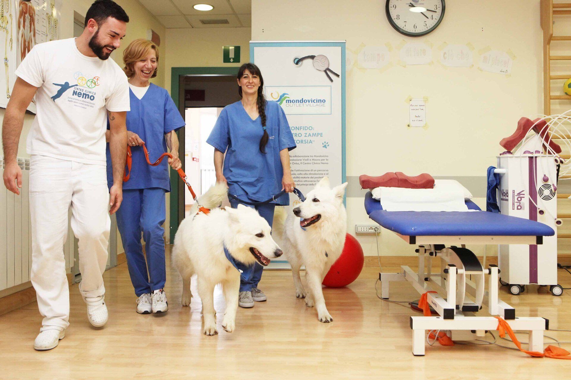 Tre persone in camice portano a spasso due cani bianchi al guinzaglio in una clinica di riabilitazione.