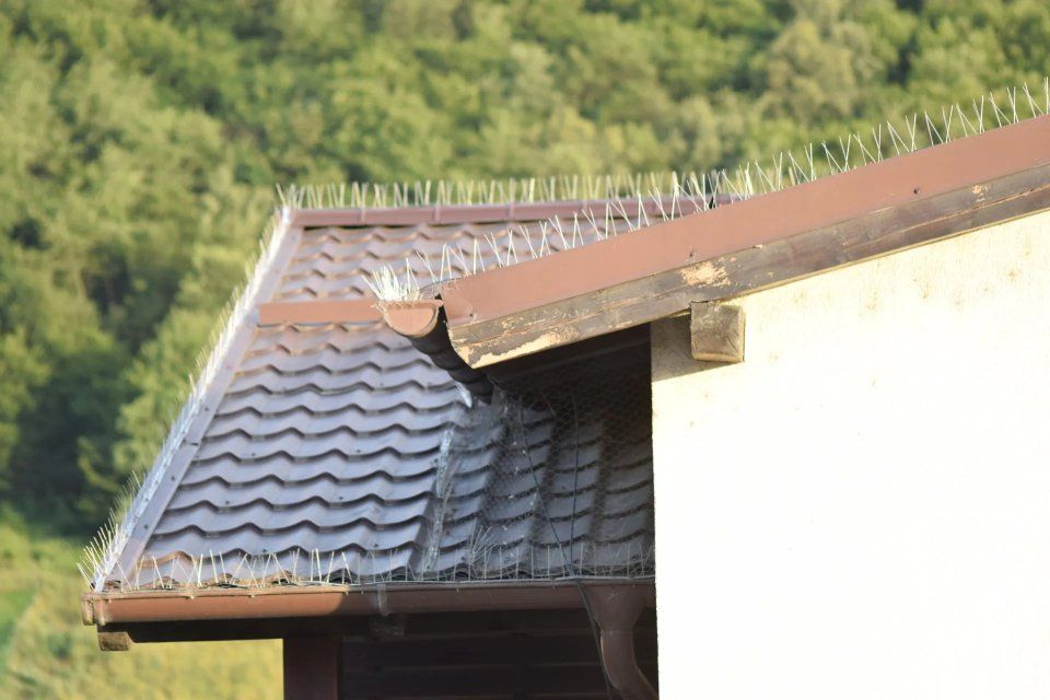 DIY (Mach es selbst)