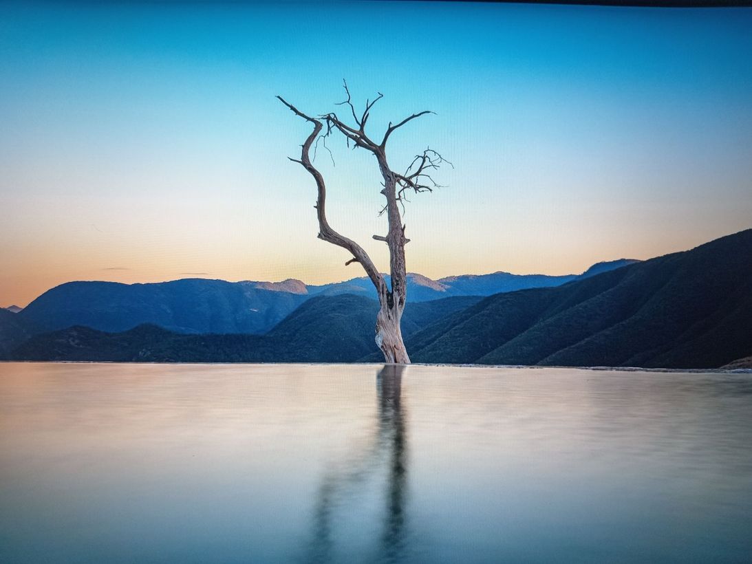 Un albero spoglio e morto si erge in acque calme al tramonto, con le montagne sullo sfondo.