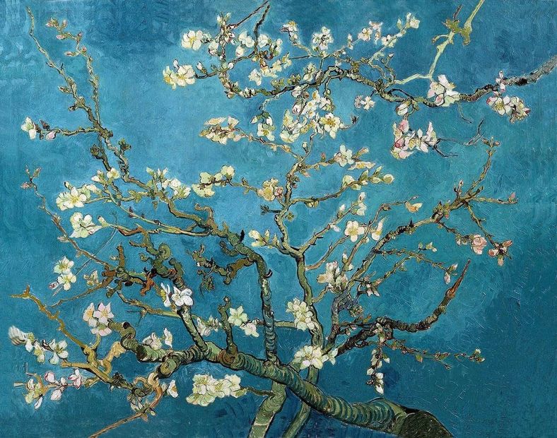 Dipinto impressionista dai colori vivaci raffigurante ninfee galleggianti su uno stagno con acqua blu e fiori rosa, gialli e rossi.