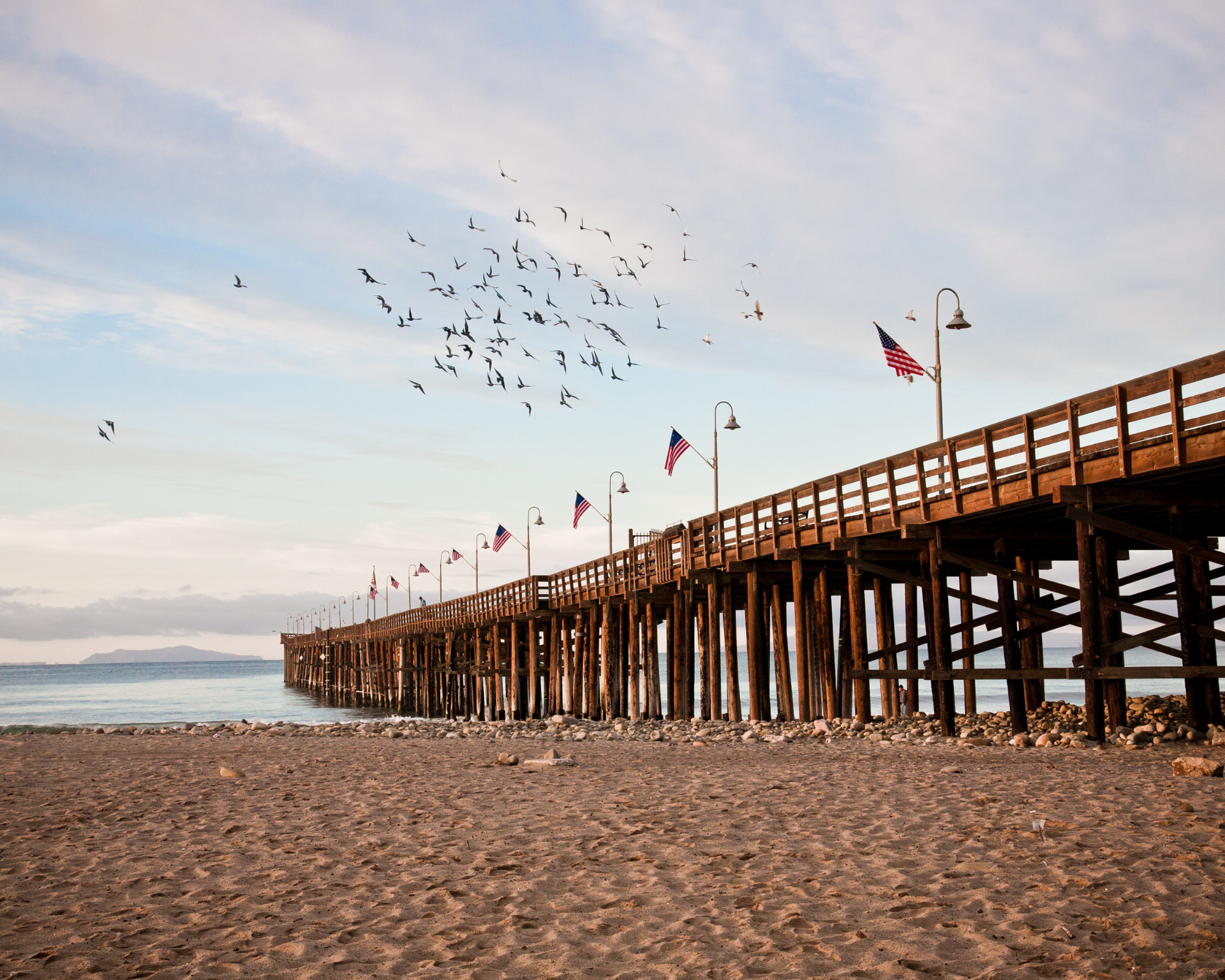 A pier with a flock of birds flying over it