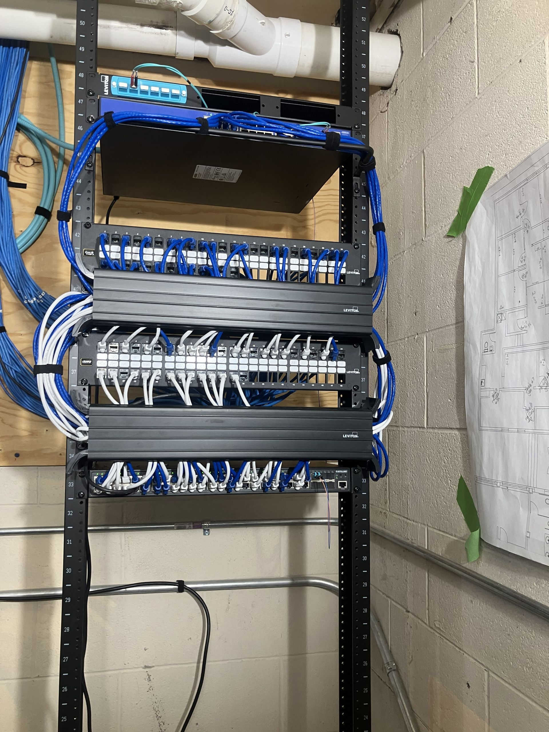 Network rack with blue and white Ethernet cables in a utility room