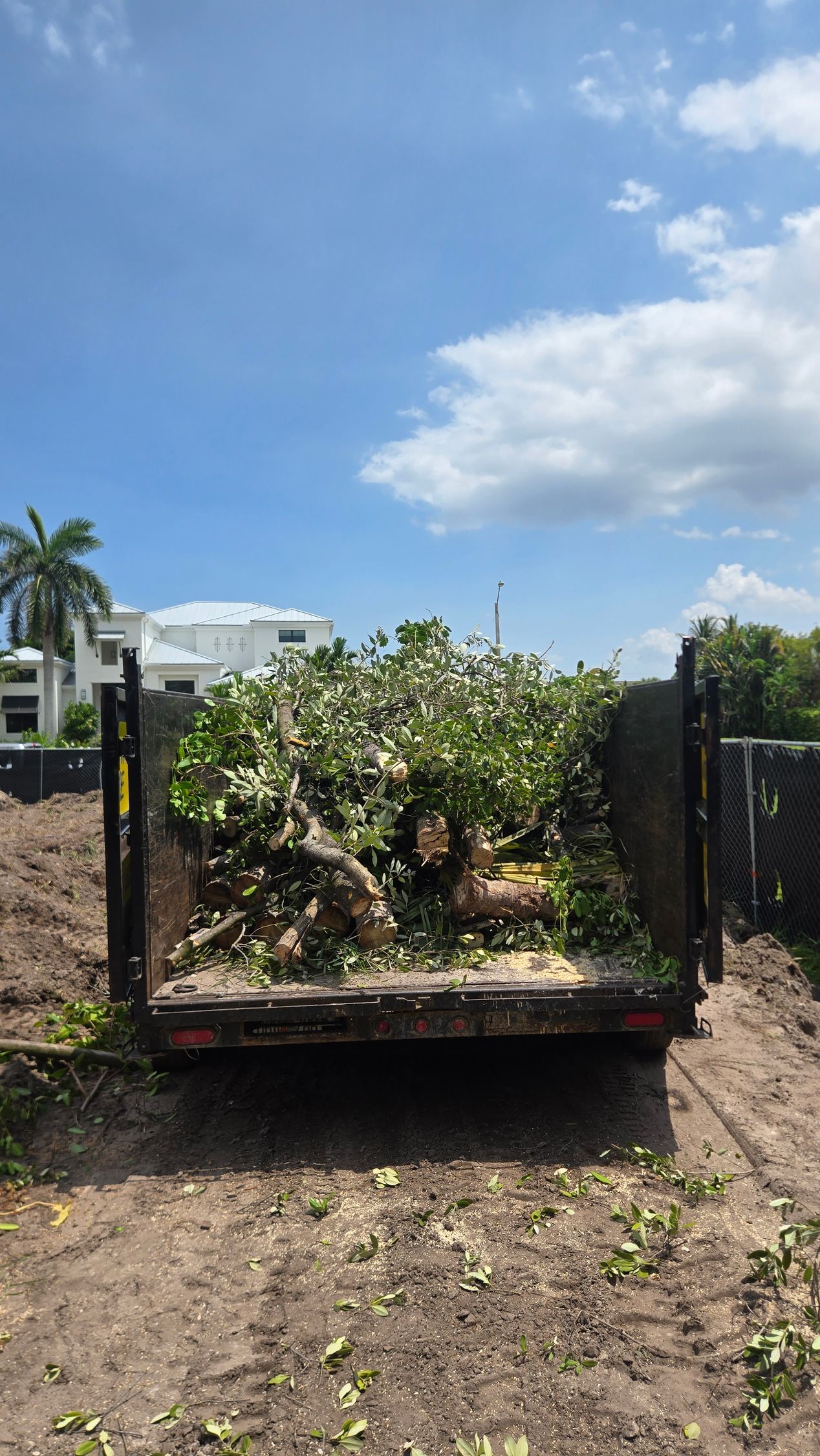Flatbed trailer loaded with leafy green branches on a sunny dirt path, with houses and sky in the background