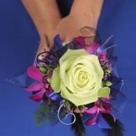 White rose corsage with purple and pink ribbons on a wrist against a blue background