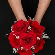 Hands holding a bouquet of red roses with white accents on a black background