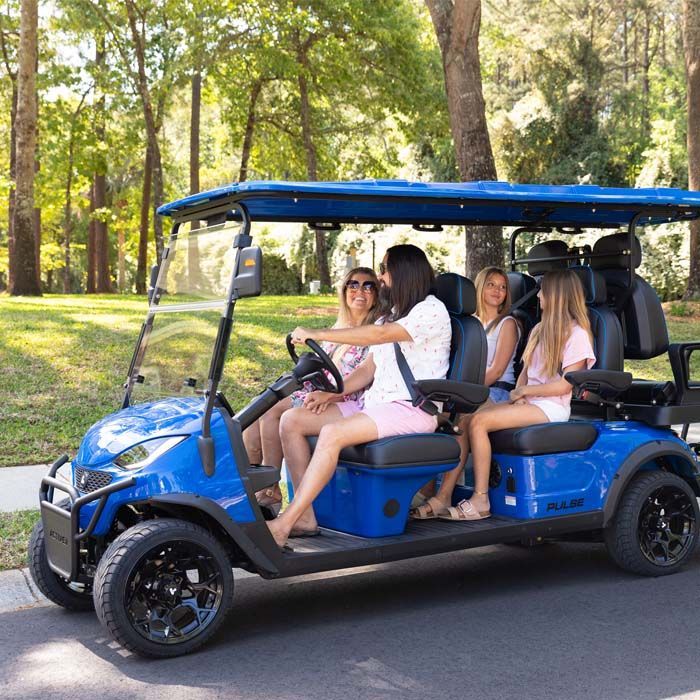 Four people riding in a blue golf cart on a grassy park path, with trees in the background