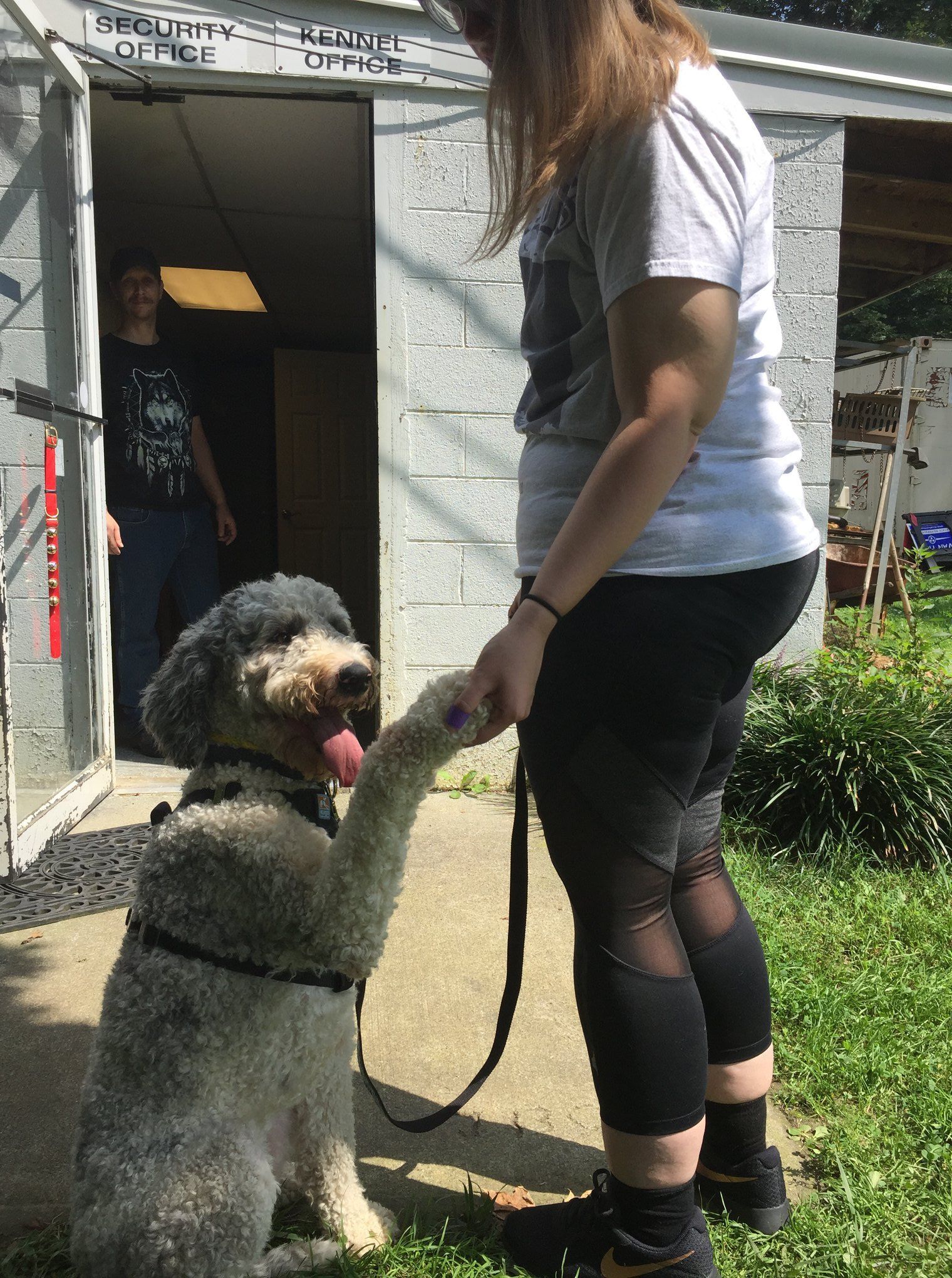 Dog Boarding
