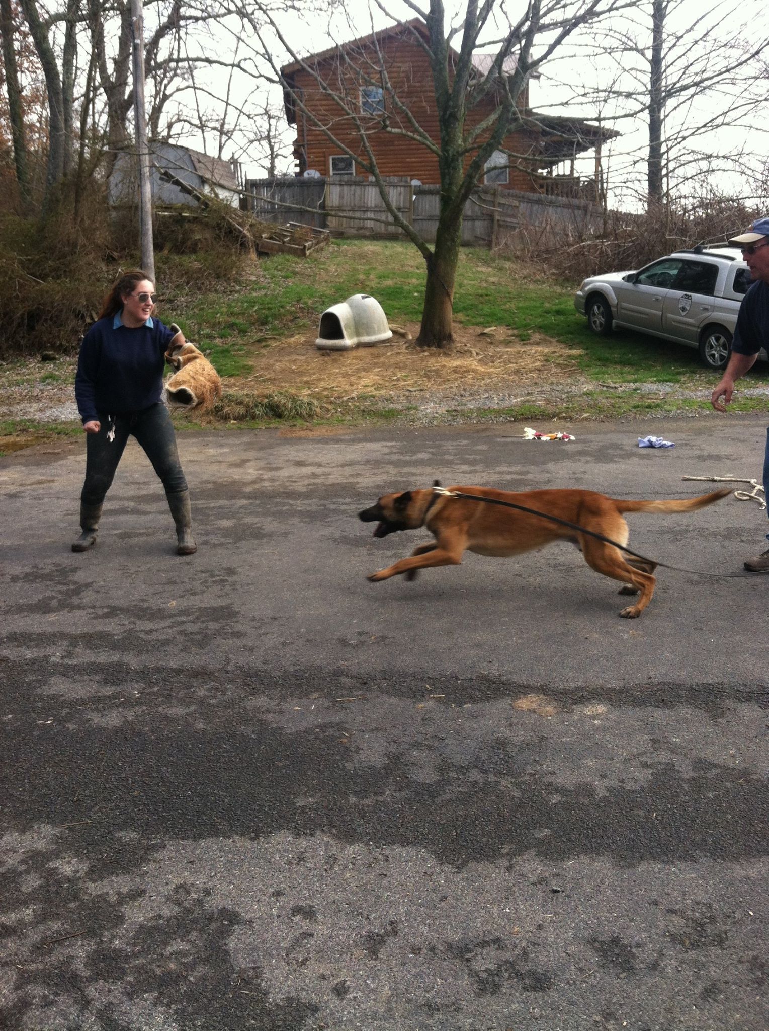 Dog Training