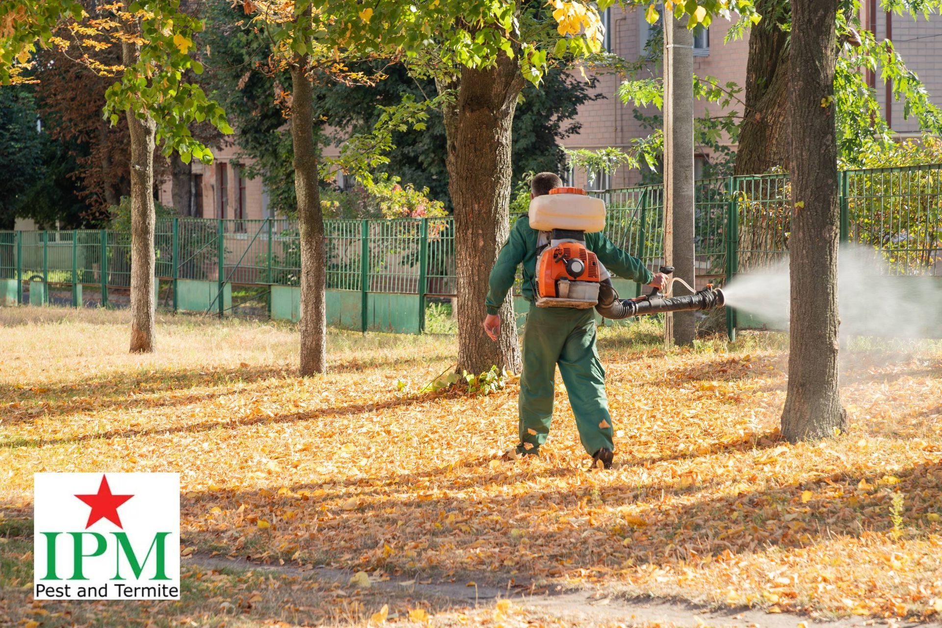 A pest removal specialist spraying for insects in fall foliage near Lexington & Louisville, Kentucky