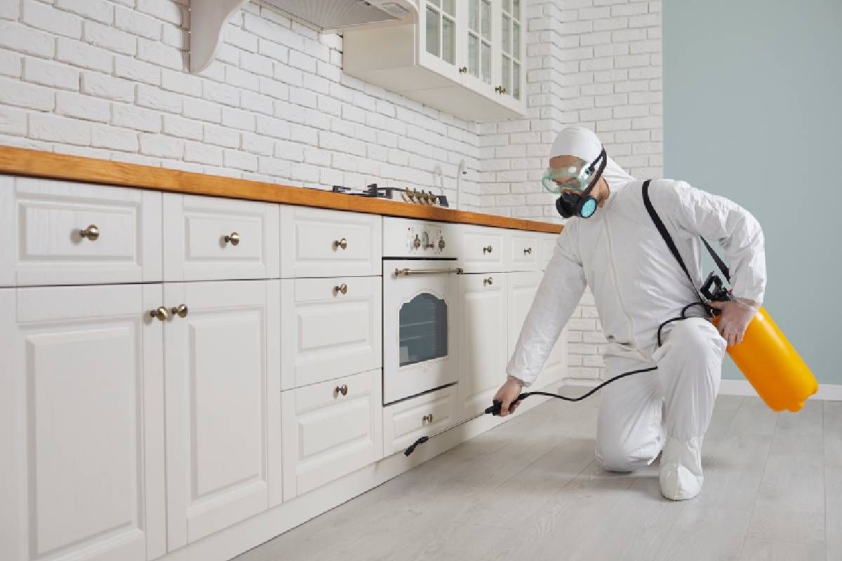 A pest control specialist spraying a kitchen for mosquitos near Lexington, Kentucky (KY)