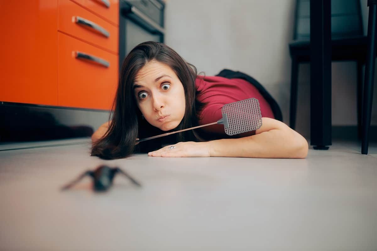 A woman crawling on the floor, holding a fly swatter and staring at a large bug near Lexington, KY