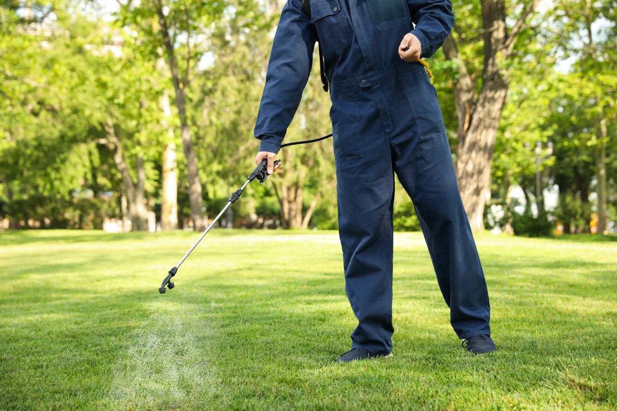 Pest removal, ant killer, Bed bug elimination, mosquito spraying, exterminator near Lexington, Kentucky (KY)