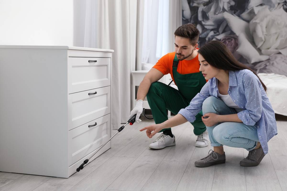 Helpful Hints About Household Pest Control, bed bug removal, bed bugs near Lexington, Kentucky (KY)