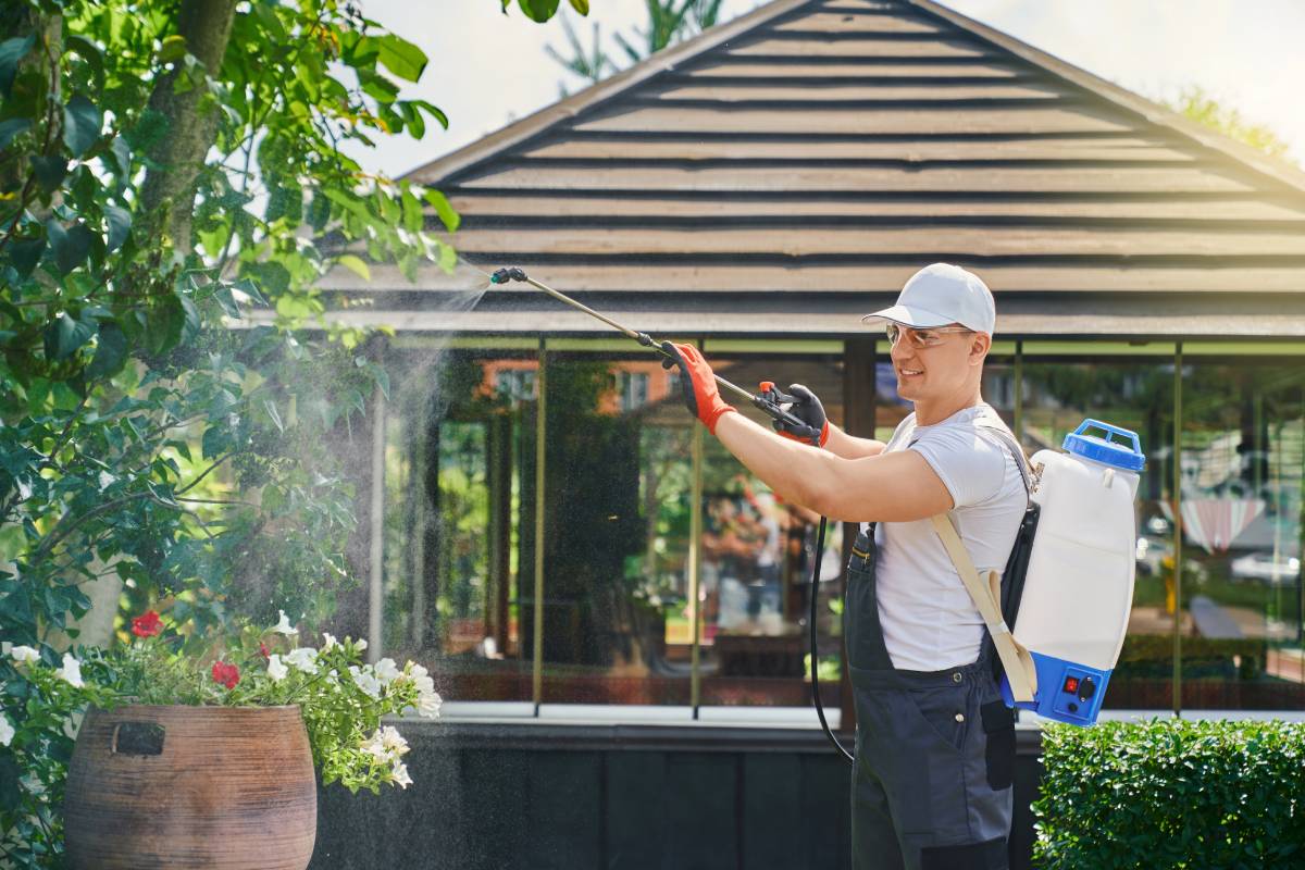 Stopping Seasonal Pests, effective mosquito control, pest control, curbing pests, near Lexington, Kentucky (KY)
