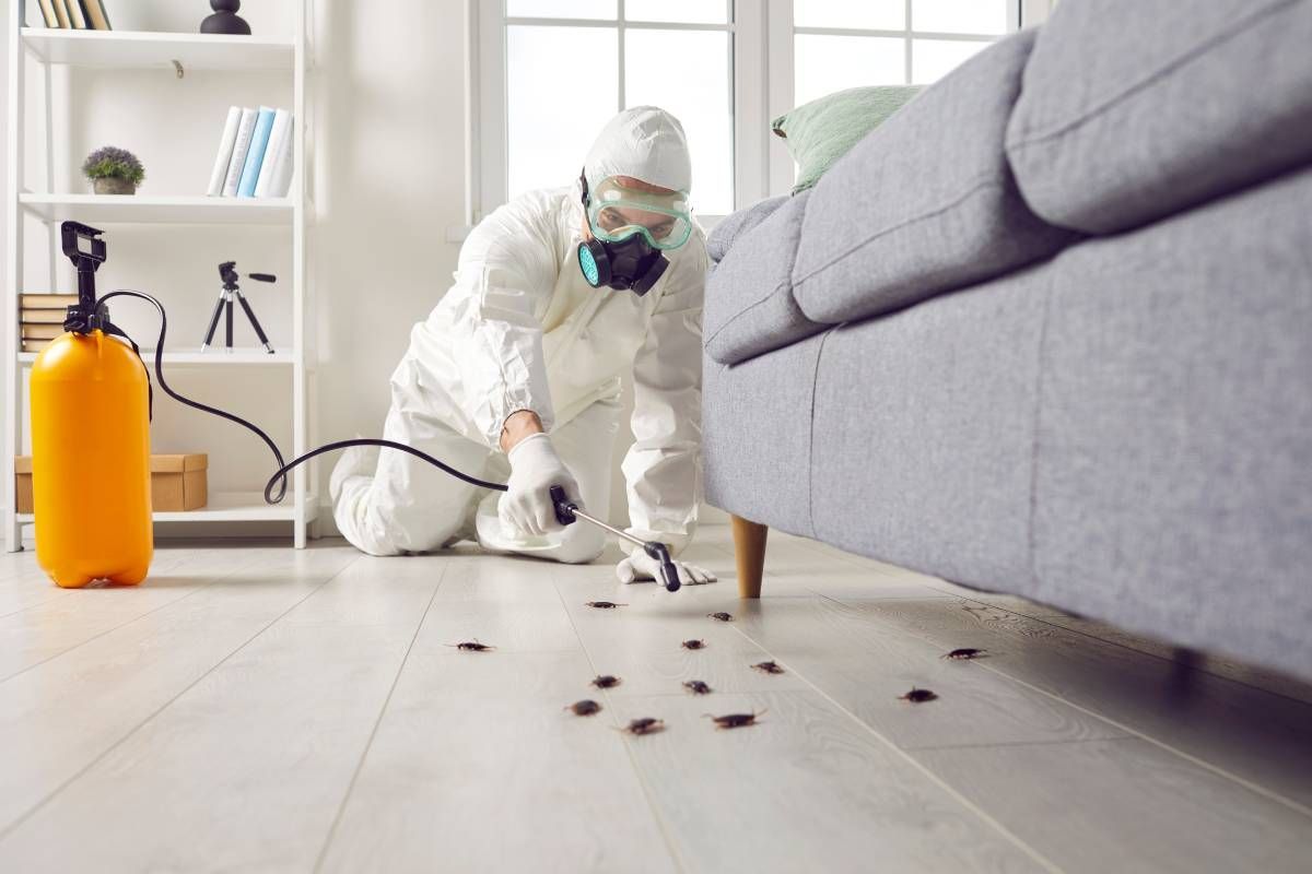 Exterminator spraying a house with a wand to eliminate cockroaches in a person’s home near Lexington, KY