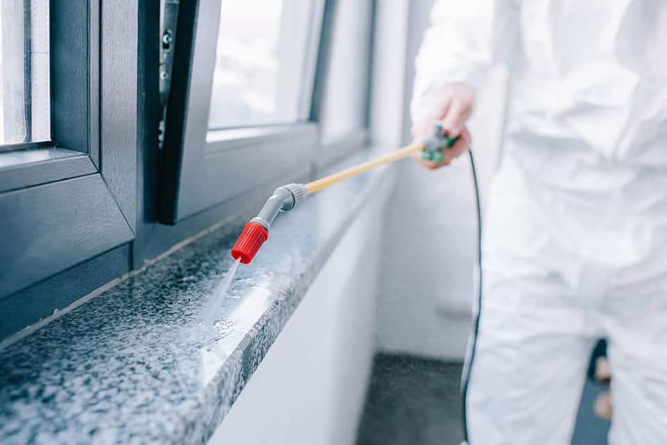 Getting rid of bedbugs near Lexington, Kentucky (KY) with helpful information, useful methods, and more.