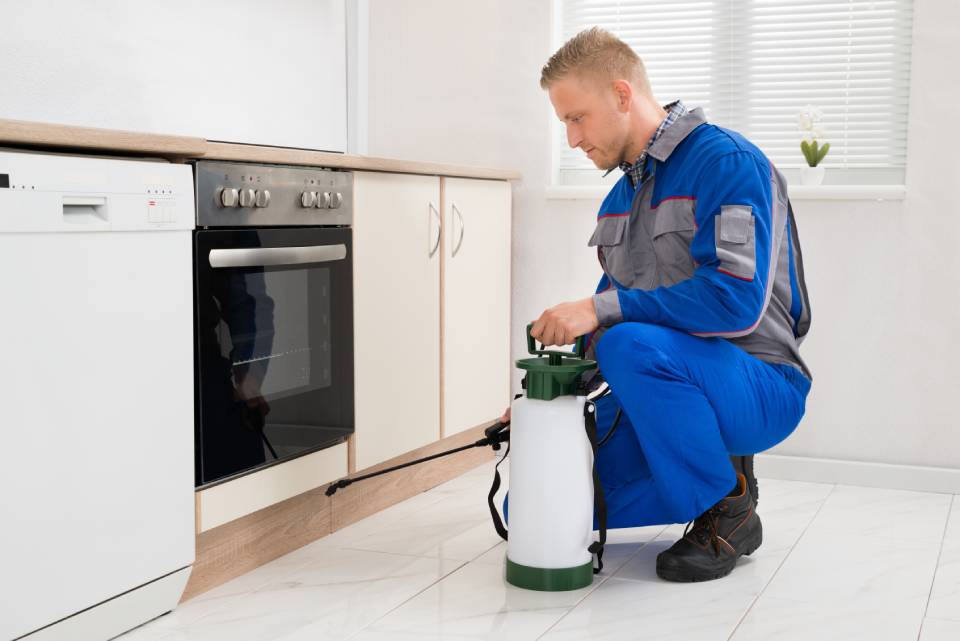 Inspecting, vacuuming, and spraying household pests including safe, effective methods near Lexington, Kentucky (KY)