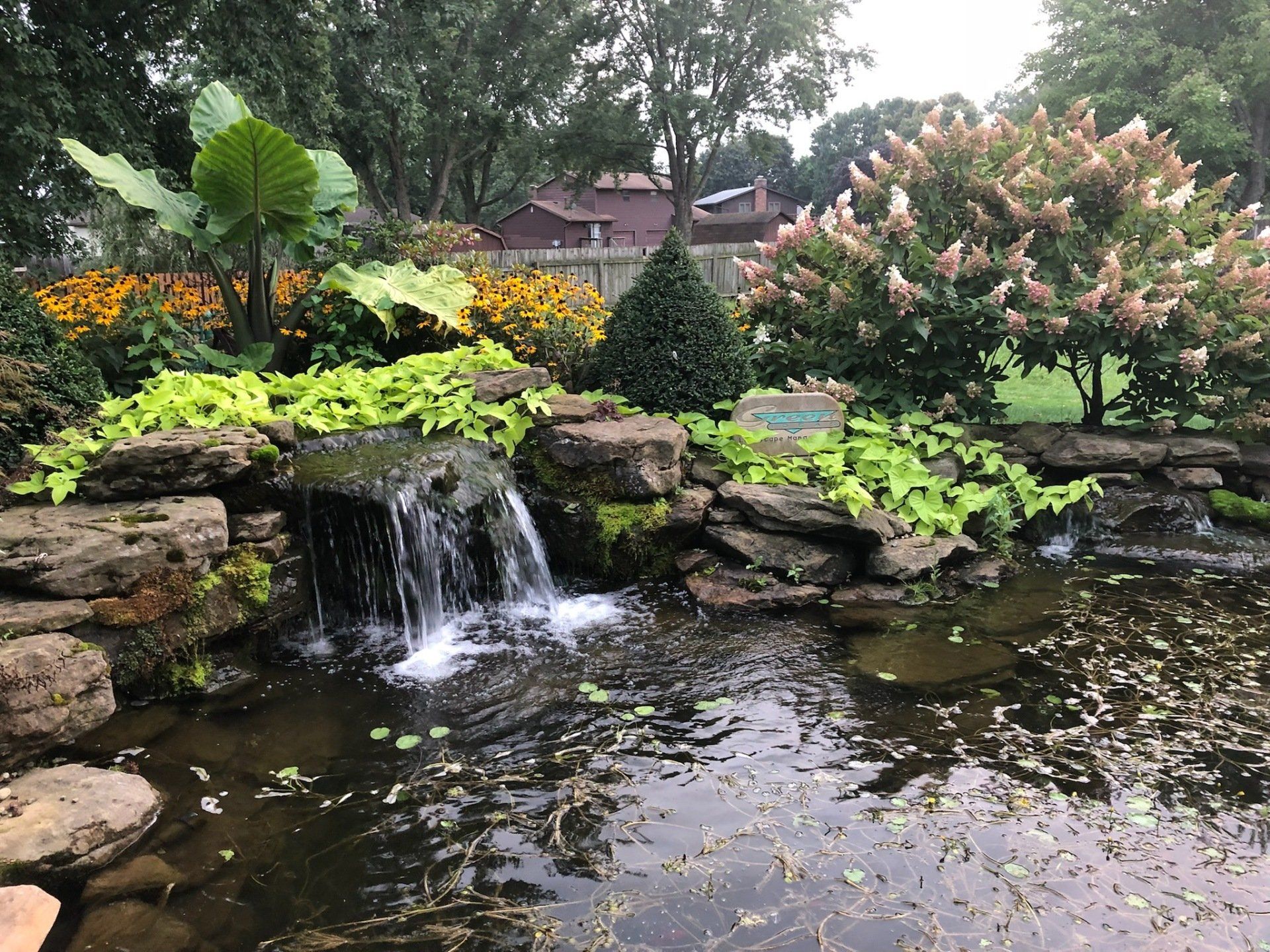 Water Feature