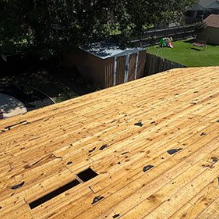 Wooden roof deck with exposed sheathing, viewed from above beside trees and a backyard fence