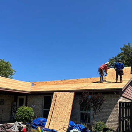 Workers installing plywood roofing on a house with blue tarps and a clear blue sky