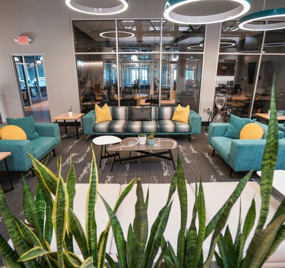 Modern office lounge with teal sofas, yellow pillows, glass walls, and tall green plants