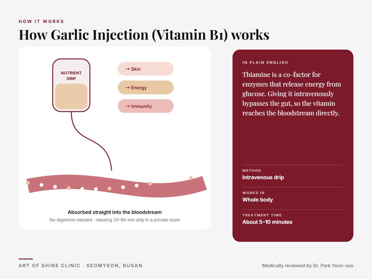 How Garlic Injection (Vitamin B1) works: intravenous drip explained in a simple diagram