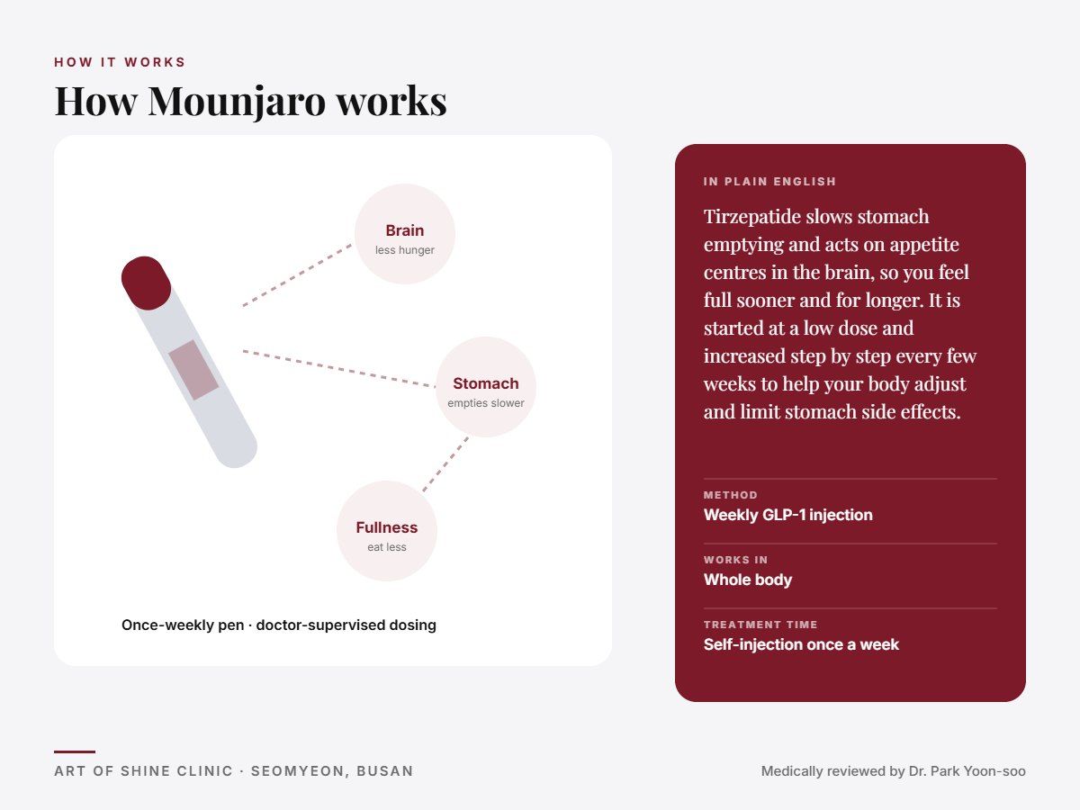How Mounjaro works: weekly GLP-1 injection explained in a simple diagram