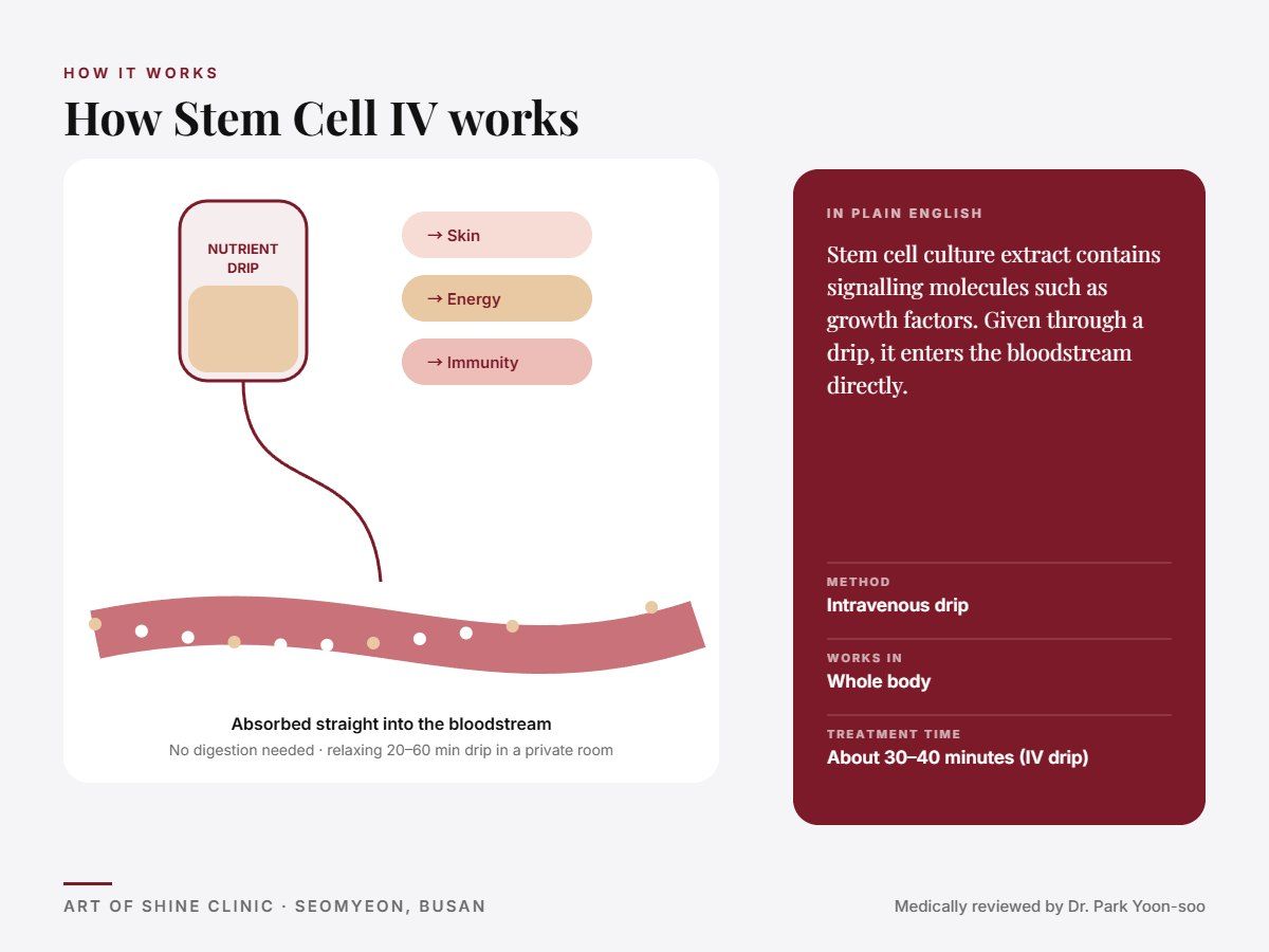 How Stem Cell IV works: intravenous drip explained in a simple diagram