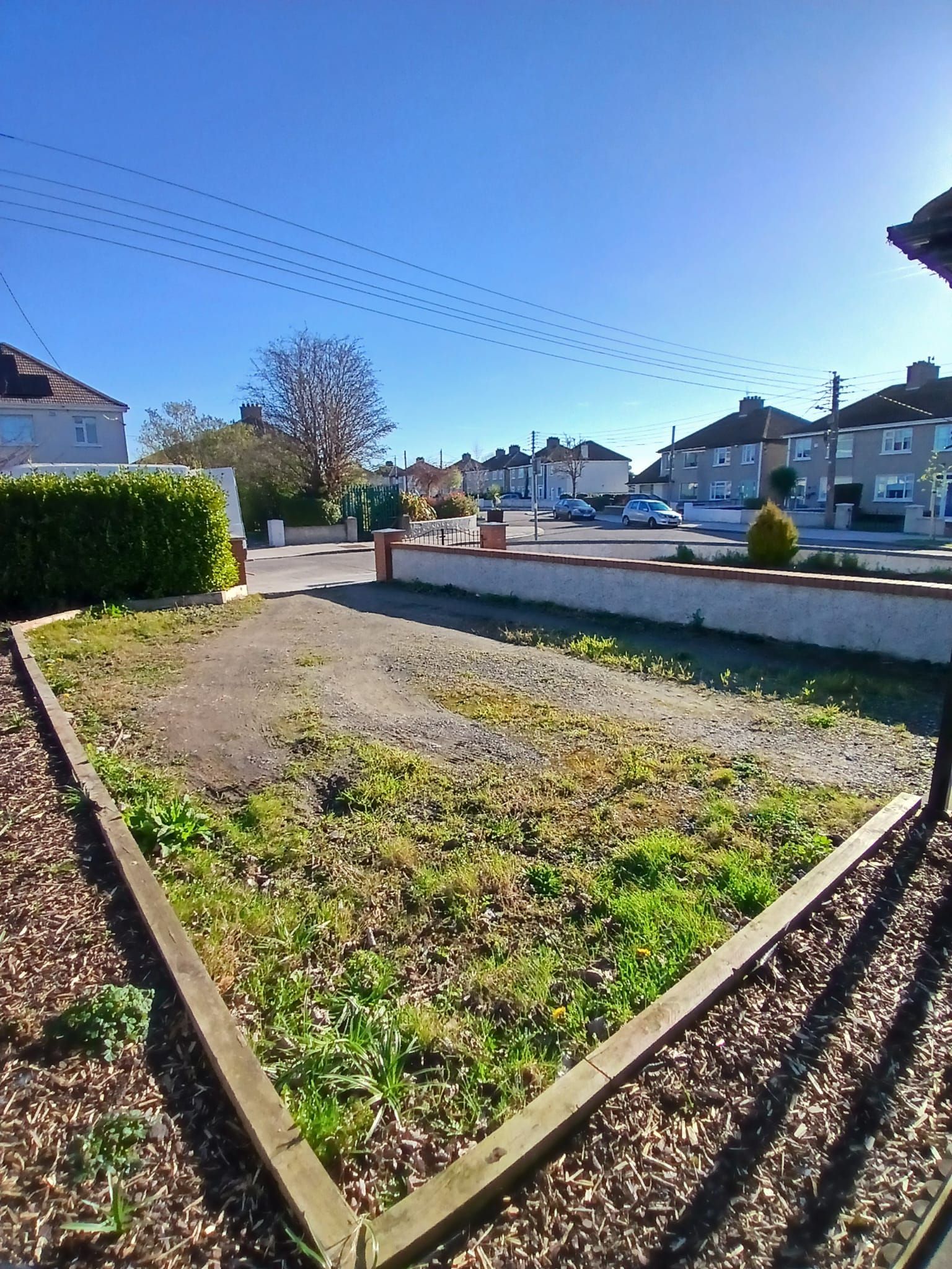 A weed-covered front yard with a wooden border, a street, and houses under a clear blue sky.