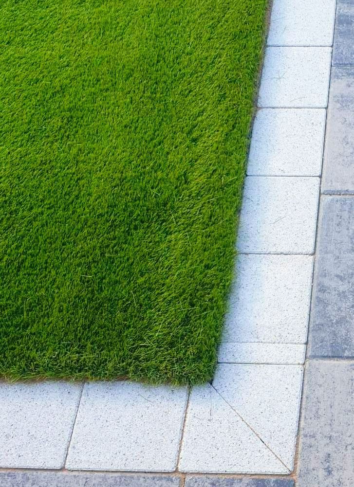 Lush green lawn borders a light gray paved area.