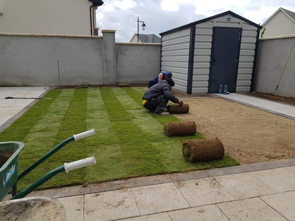 Two people installing sod in a backyard, beside a shed and concrete wall.
