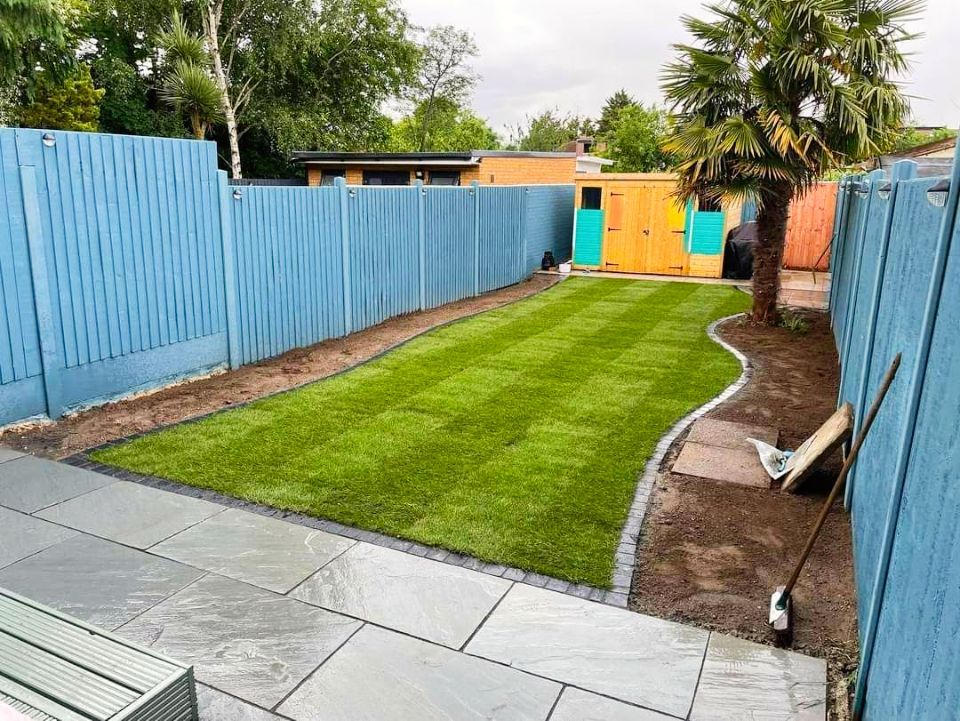 Backyard with new lawn bordered by stone, blue fence, and colorful shed. Palm tree.