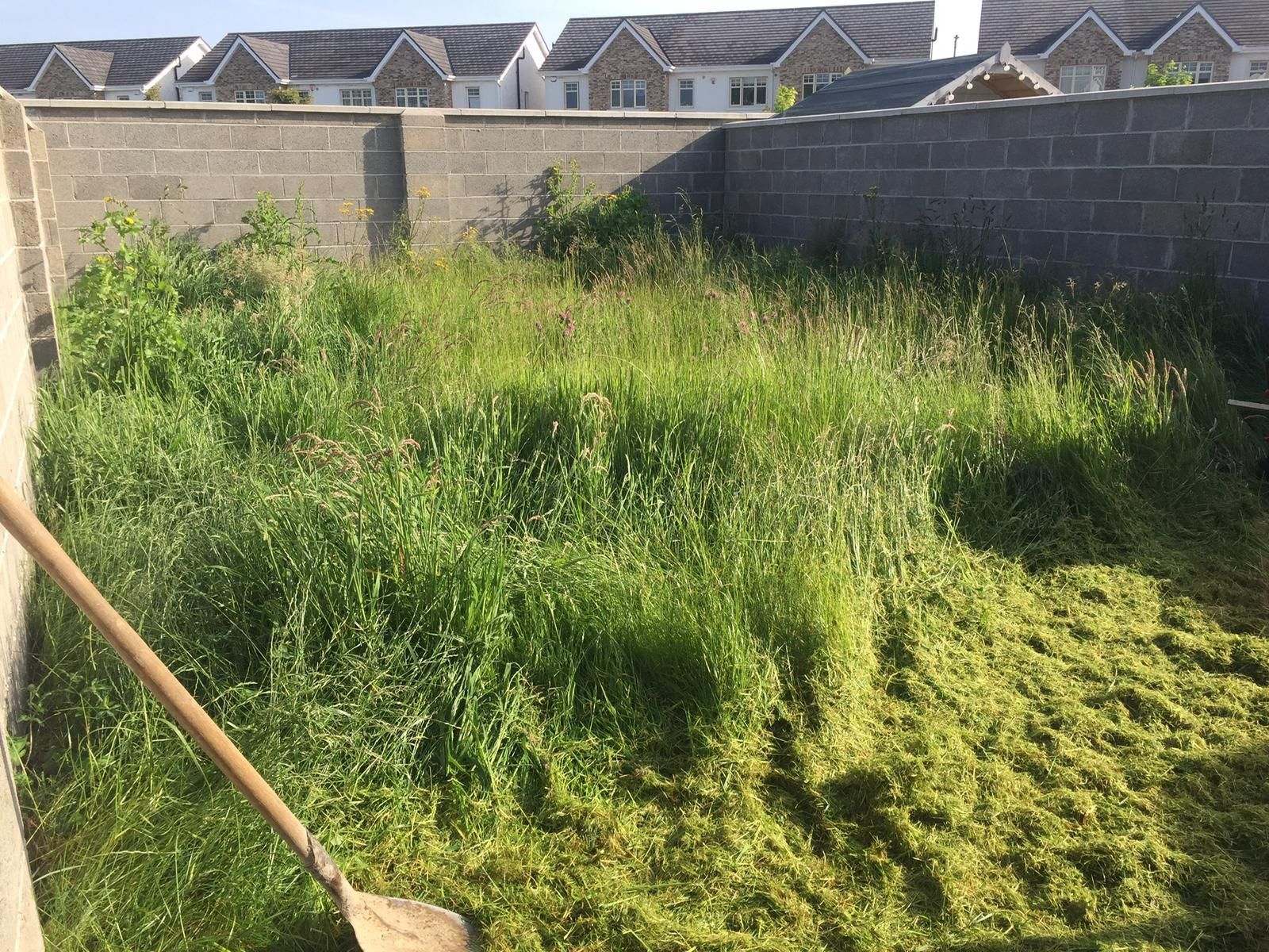 Overgrown backyard with cut grass piled on the ground. A shovel leans against a concrete wall.