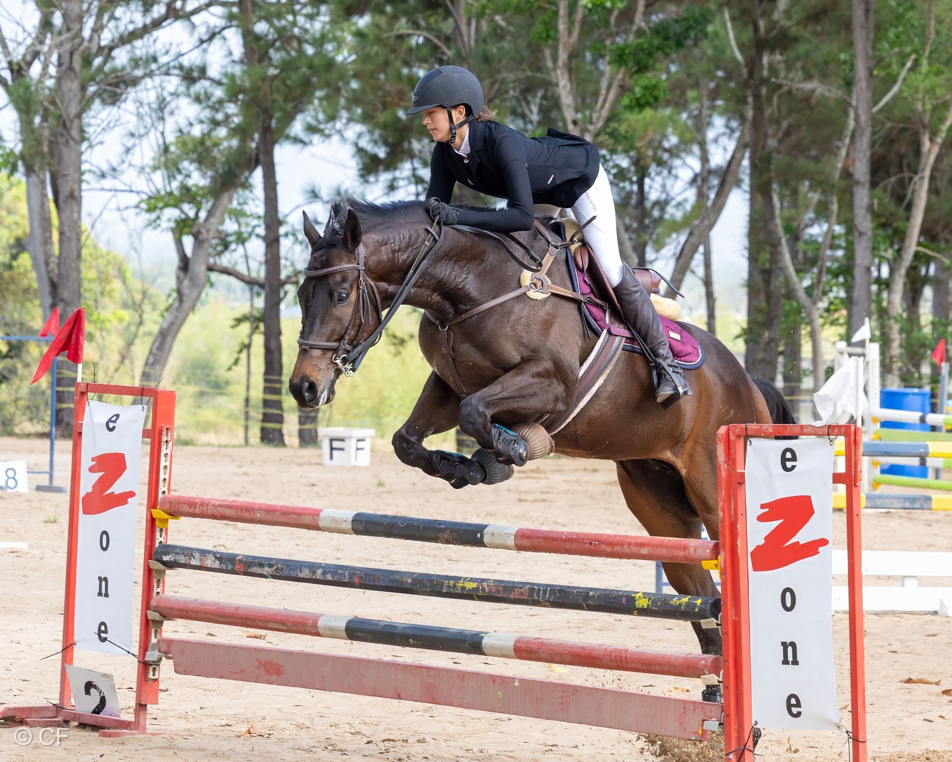 A woman is riding a horse over a hurdle.
