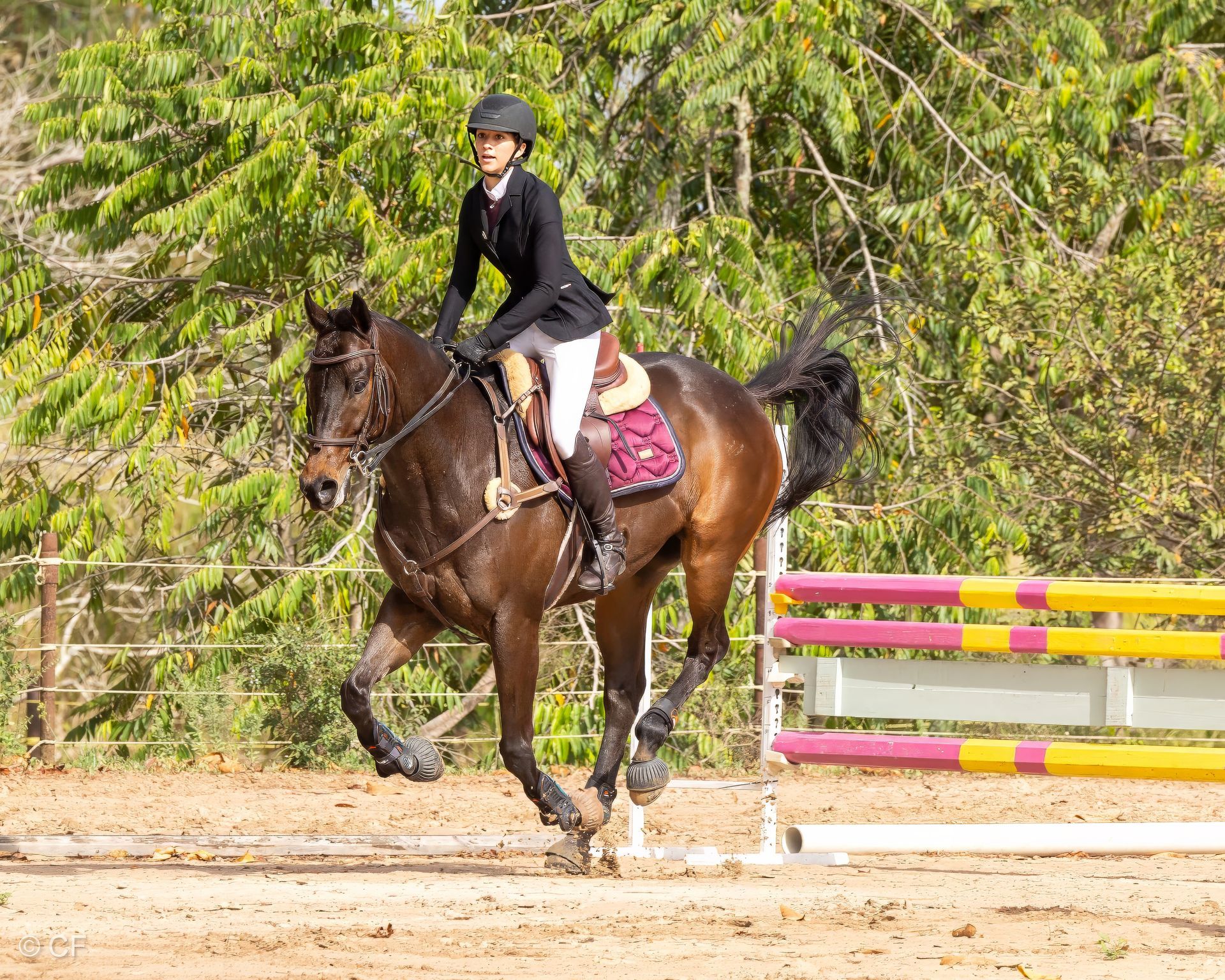 A woman is riding a brown horse in a ring.