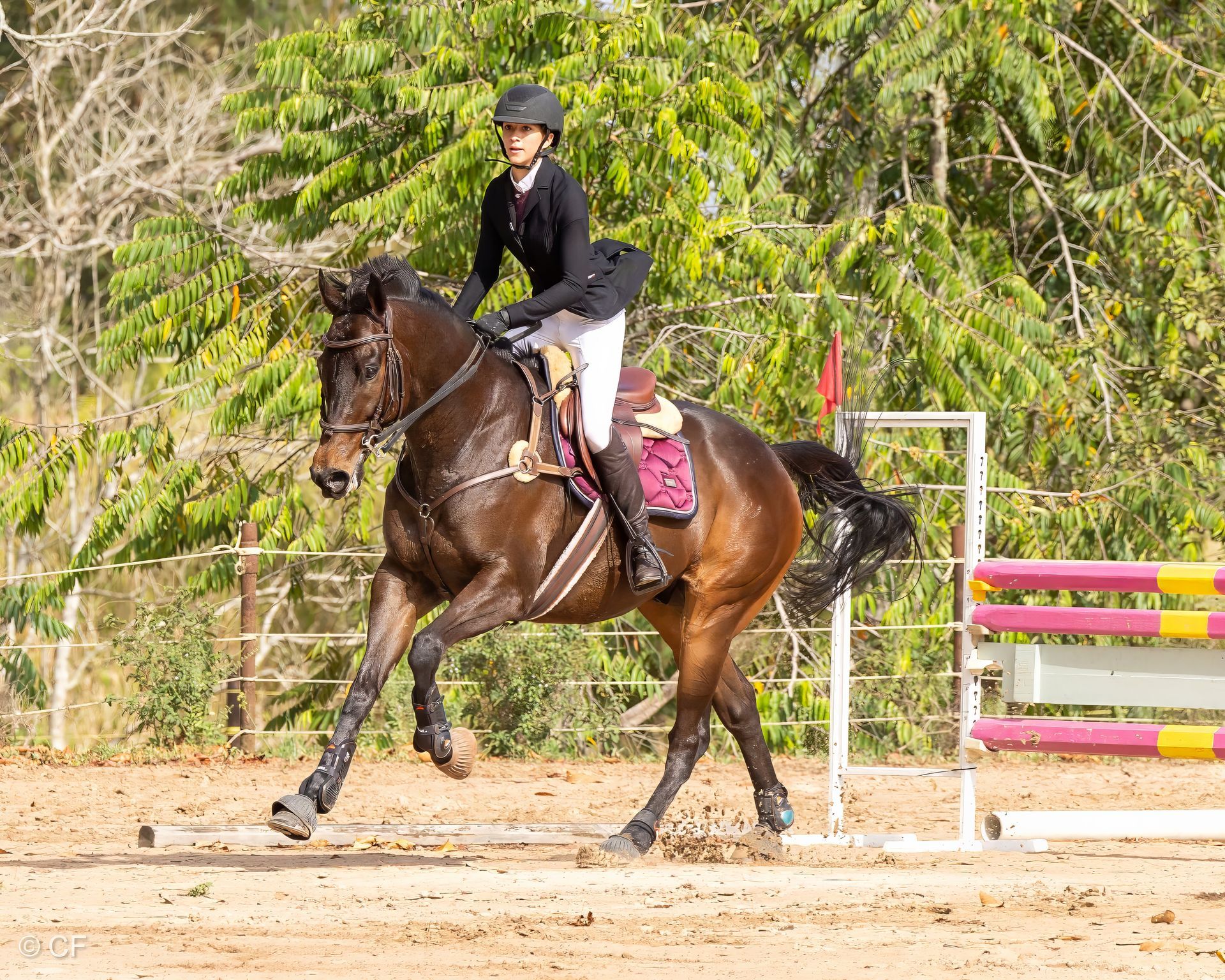 a young person riding a horse with a blue saddle pad