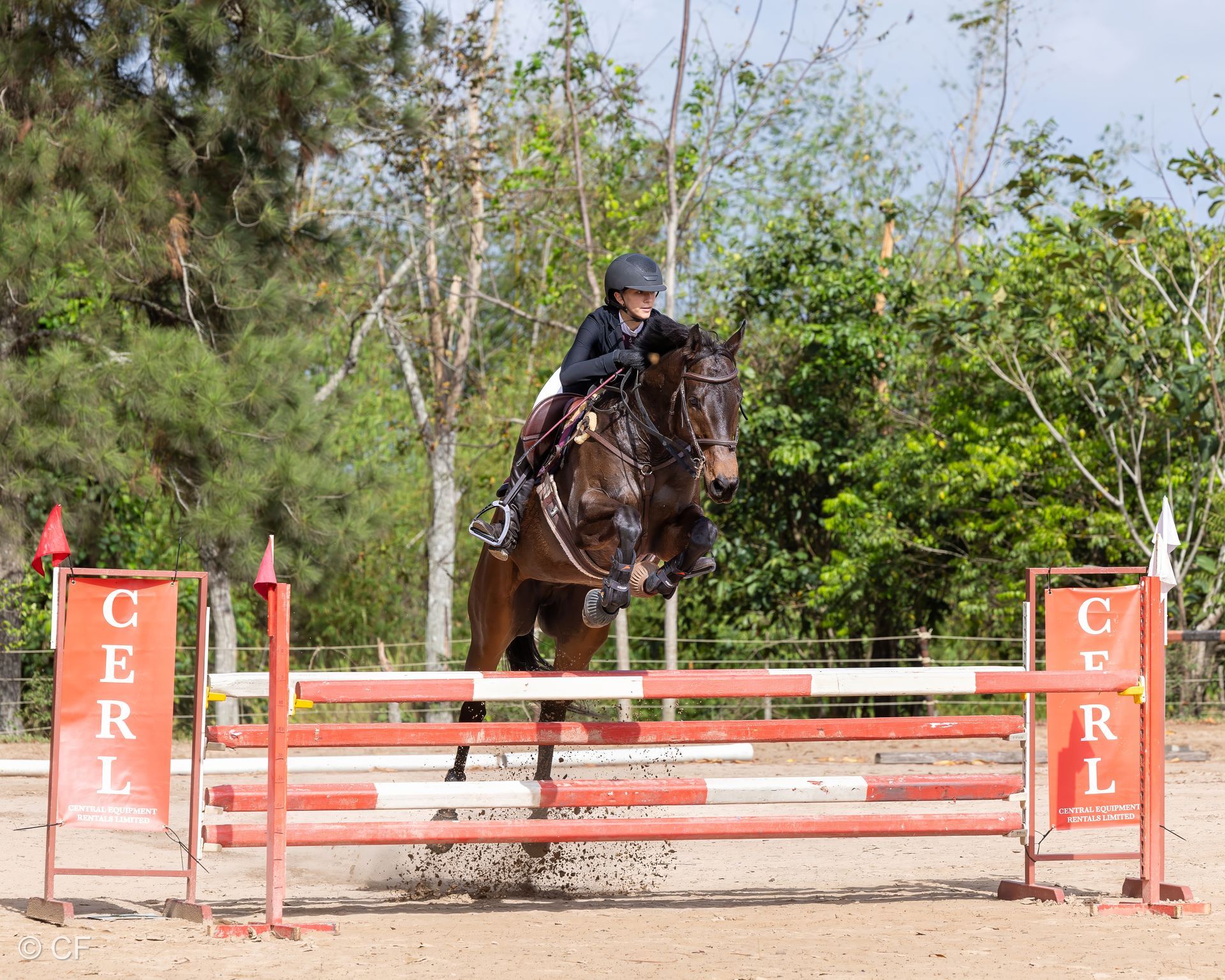 a person riding a brown horse