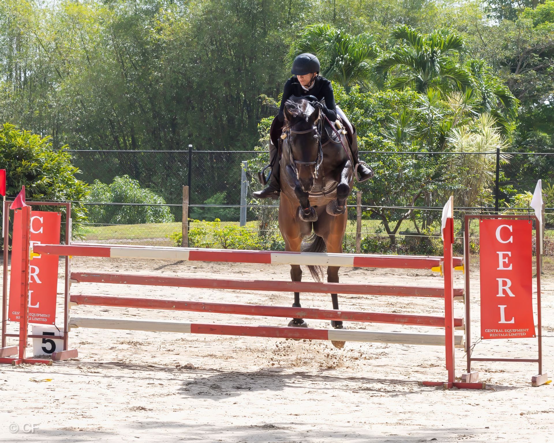 A person on a horse jumping over a hurdle with cerl signs in the background