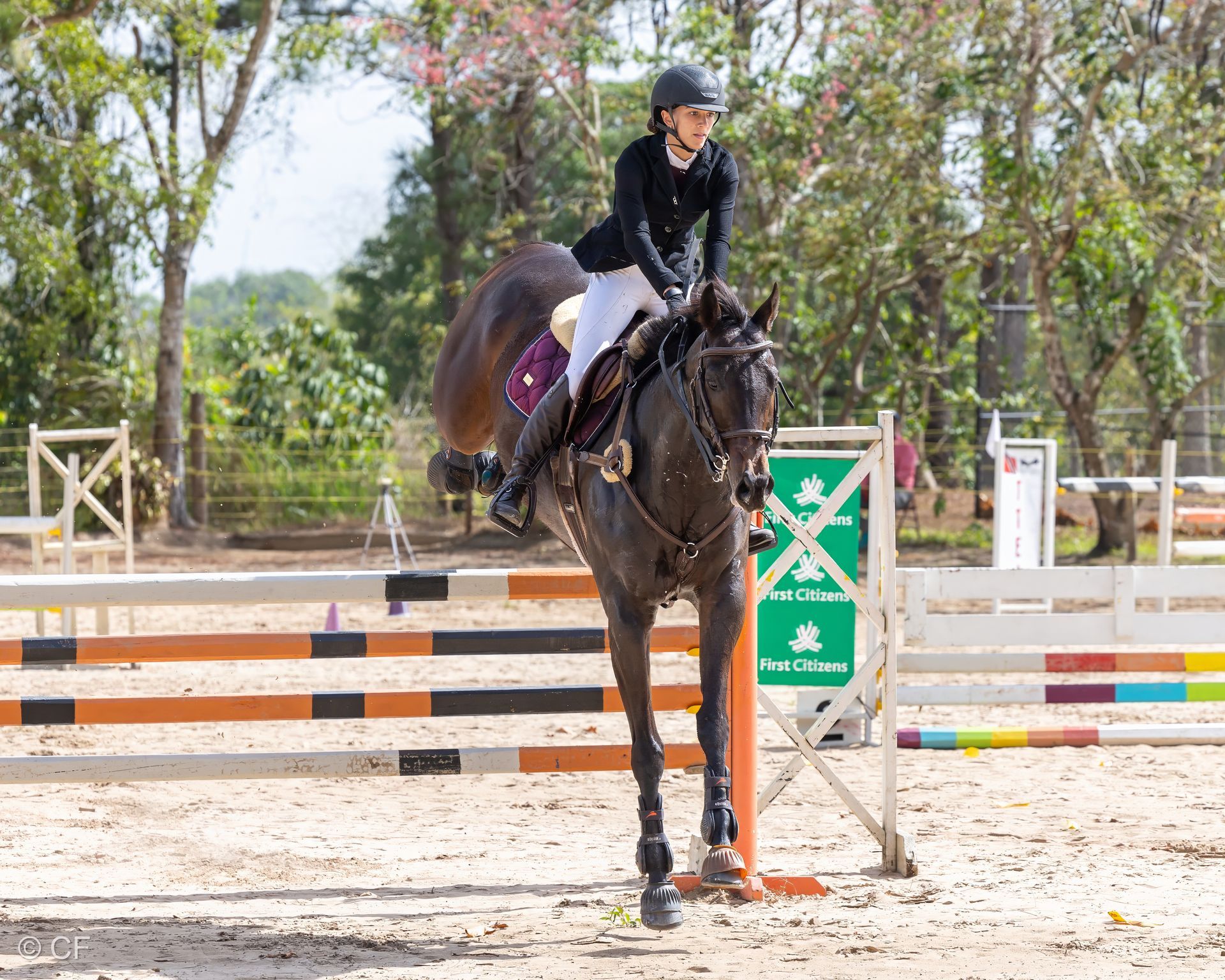 a young girl is riding a black horse