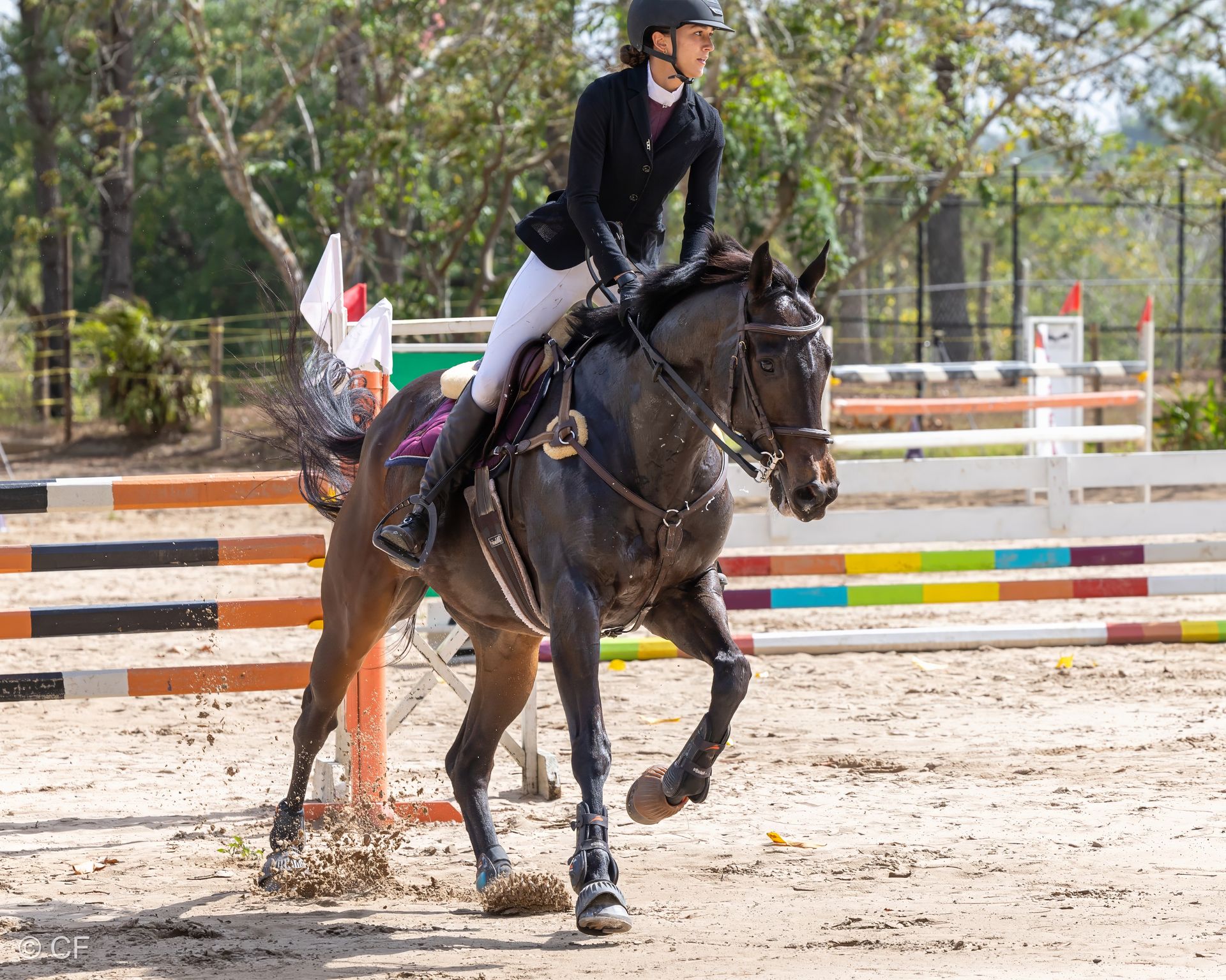 A woman is riding a horse in a fenced in area.