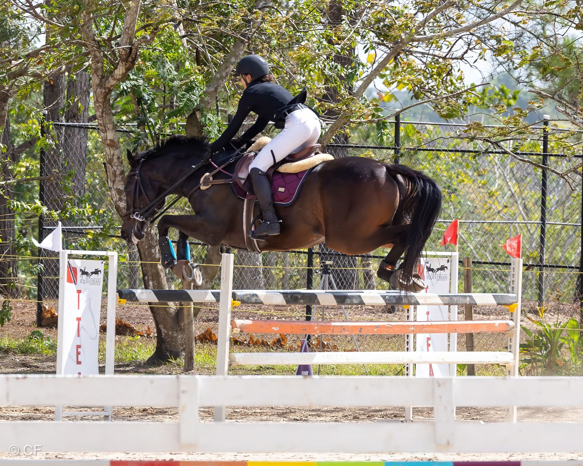 A woman is riding a horse over a hurdle